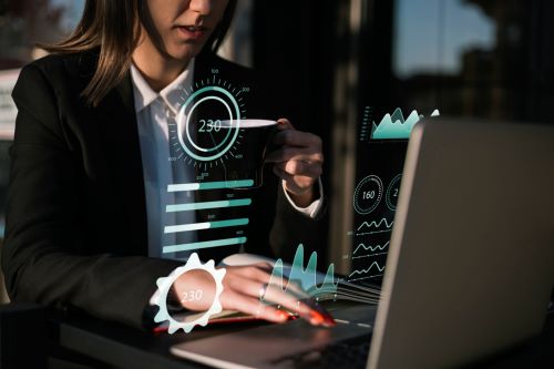 Custom ERP Software